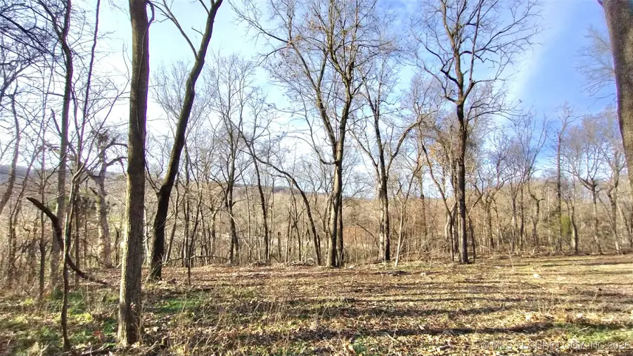 474726 E 660 Road, Westville, OK 74965 - Image #2