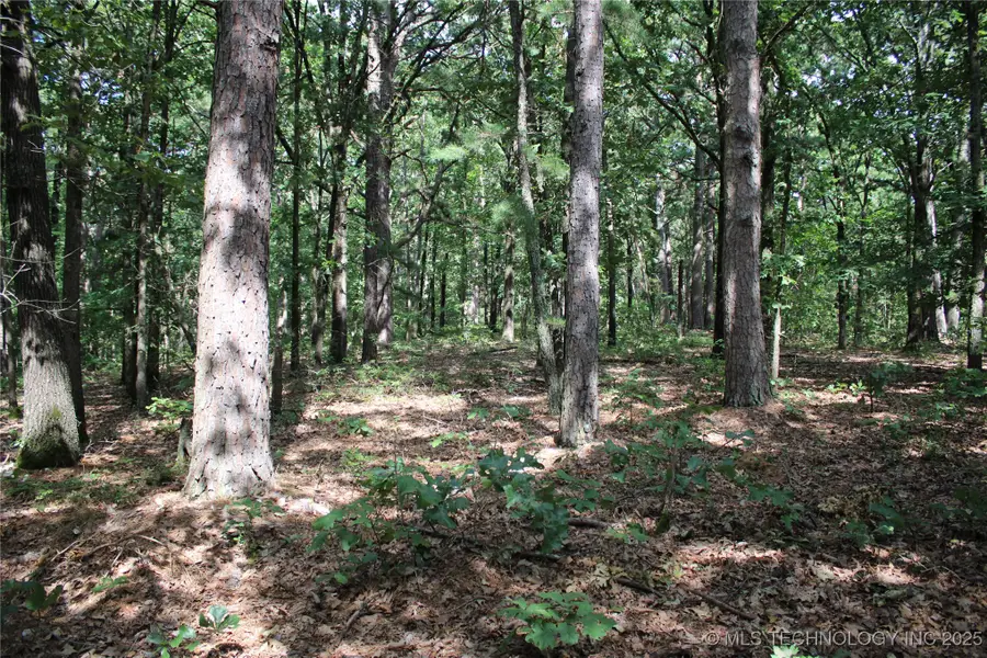 71 Hwy 59, Jay, OK 74346 - Image #3