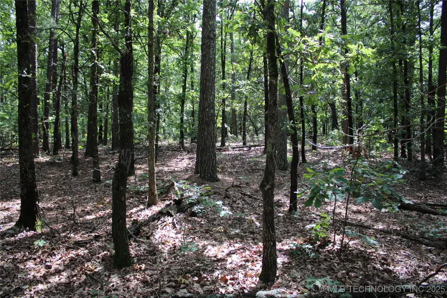 183 E 484 Road, Jay, OK 74346 - Image #2