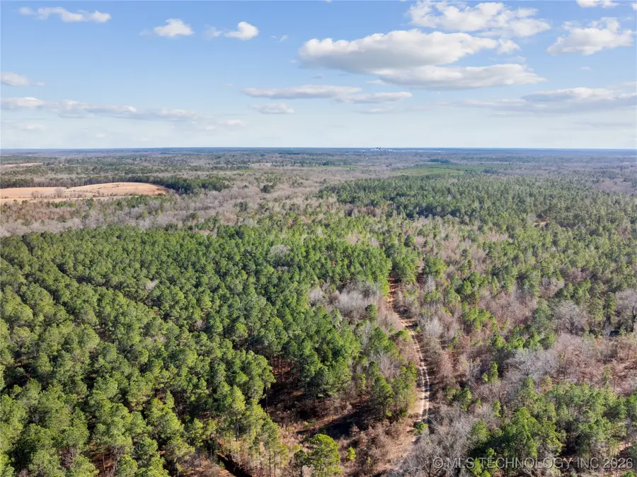 160 E 2050 Road, Swink, OK 74761 - #2
