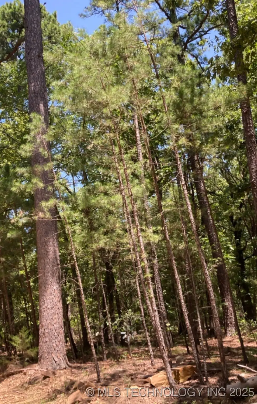 Whispering Pines, Antlers, OK 74523 - Image #1