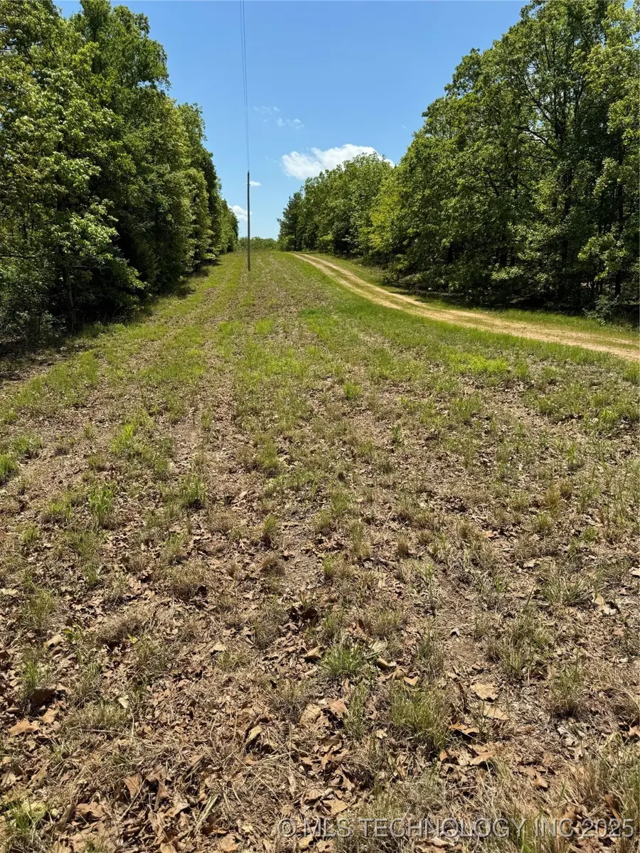 6 S 4532 Road, Vian, OK 74962 - Image #3