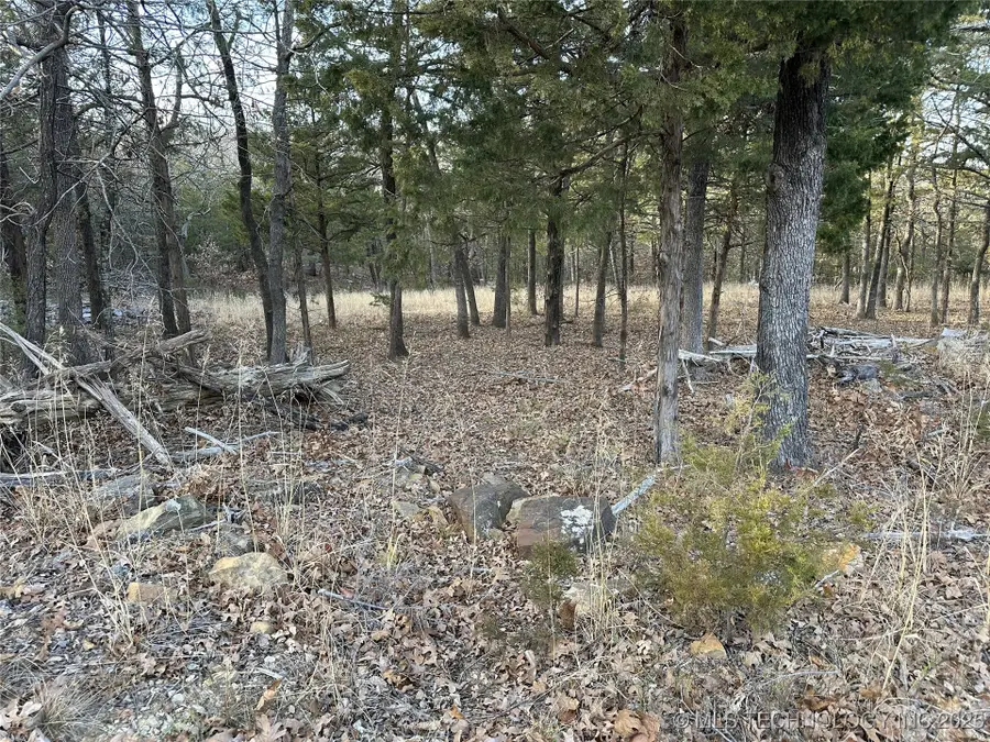 18 Sleepy Hollow Circle, Cleveland, OK 74020 - Image #3