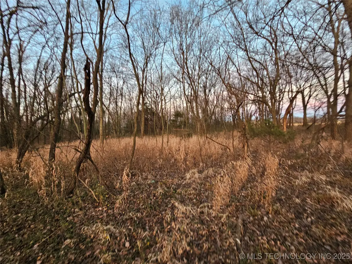 00001 N 4420 Road, Strang, OK 74367 - Image #1