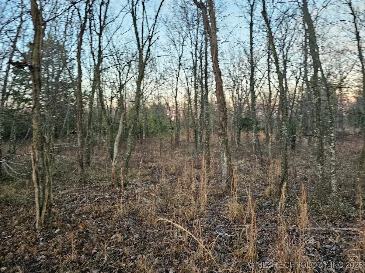 00003 N 4420 Road, Strang, OK 74367 - Image #1