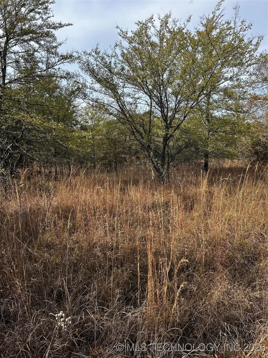 006 E 264th Road, Winchester, OK 74421 - Image #3