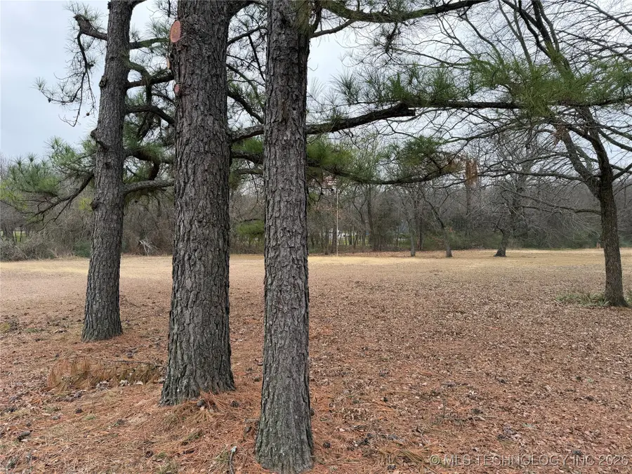 Forest Lane, Durant, OK 74701 - Image #3