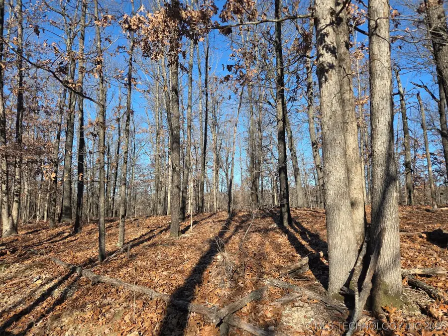 Pigeon Ridge, Proctor, OK 74457 - Image #3
