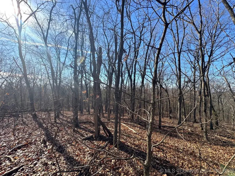 12555 Huckleberry Circle, Rogers, Ar 72756 - Image #2