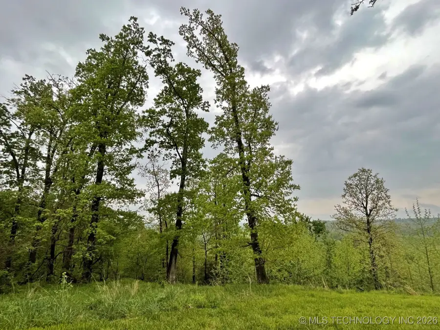 1229 Pheasant Run Road, Kansas, OK 74347 - #2