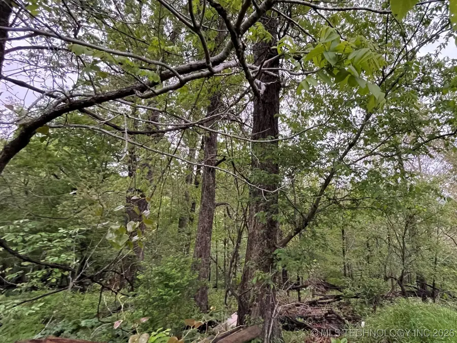 1229 Pheasant Run Road, Kansas, OK 74347 - #3