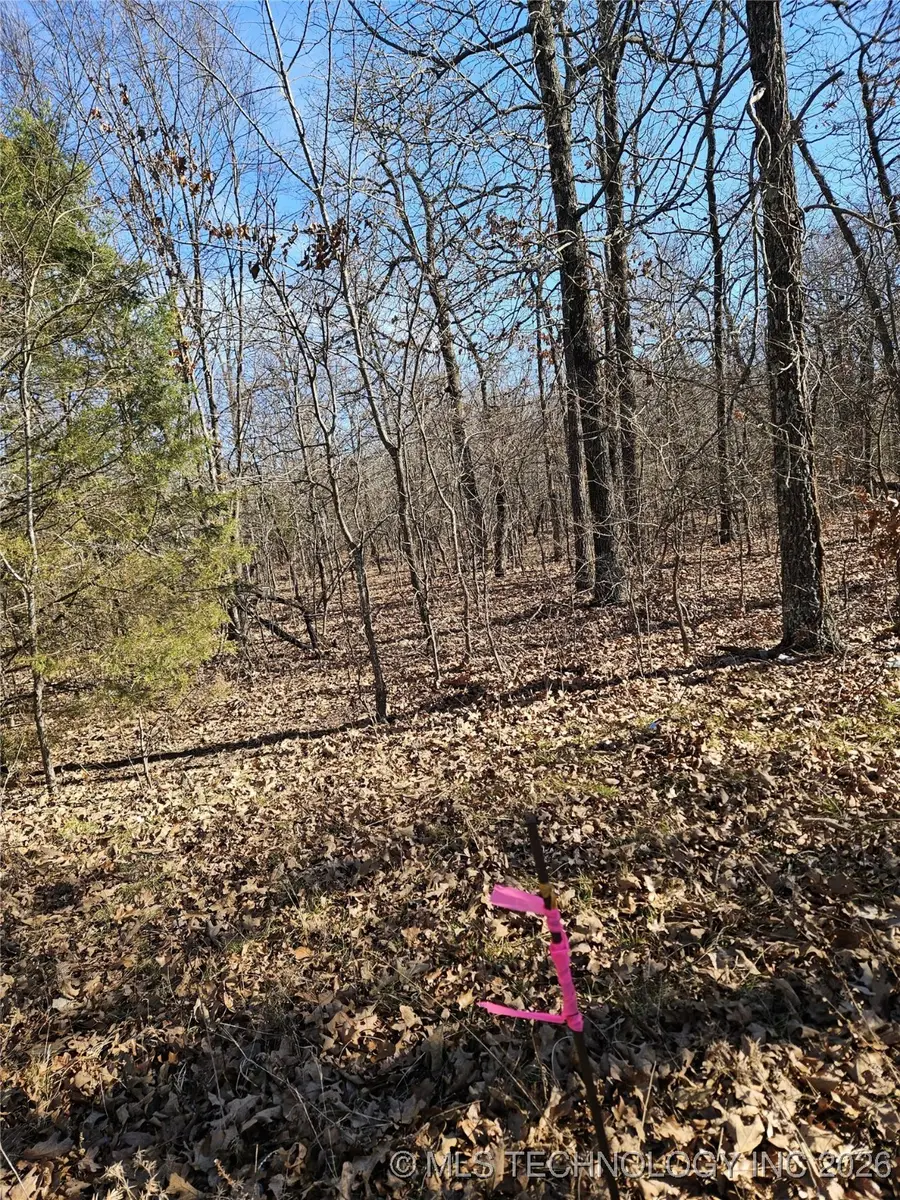 54601 E 233 Road, Afton, OK 74331 - Image #2