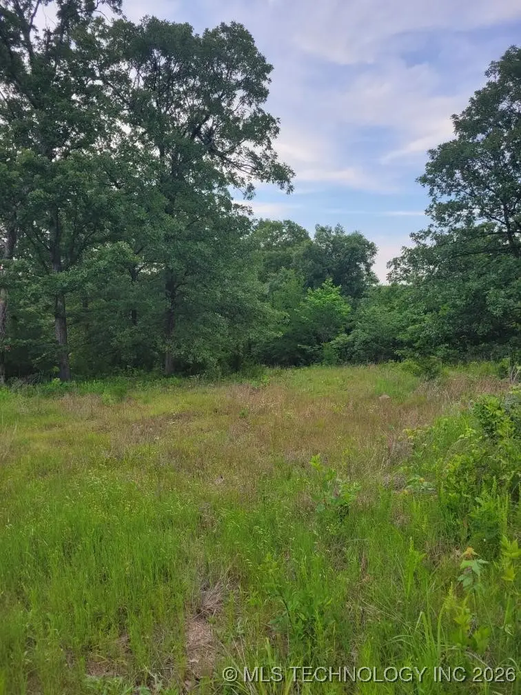 140 Gaines Creek, Canadian, OK 74425 - Image #3