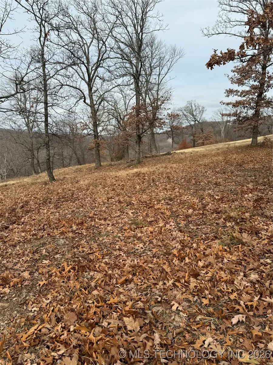 21 E Timbercrest Drive, Cookson, OK 74427 - #2