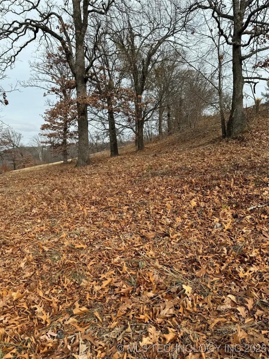 21 E Timbercrest Drive, Cookson, OK 74427 - #3