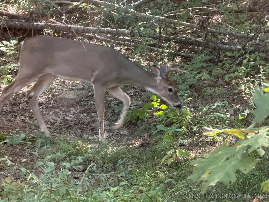 4 Goats Bluff Road, Wister, OK 74966 - Image #2