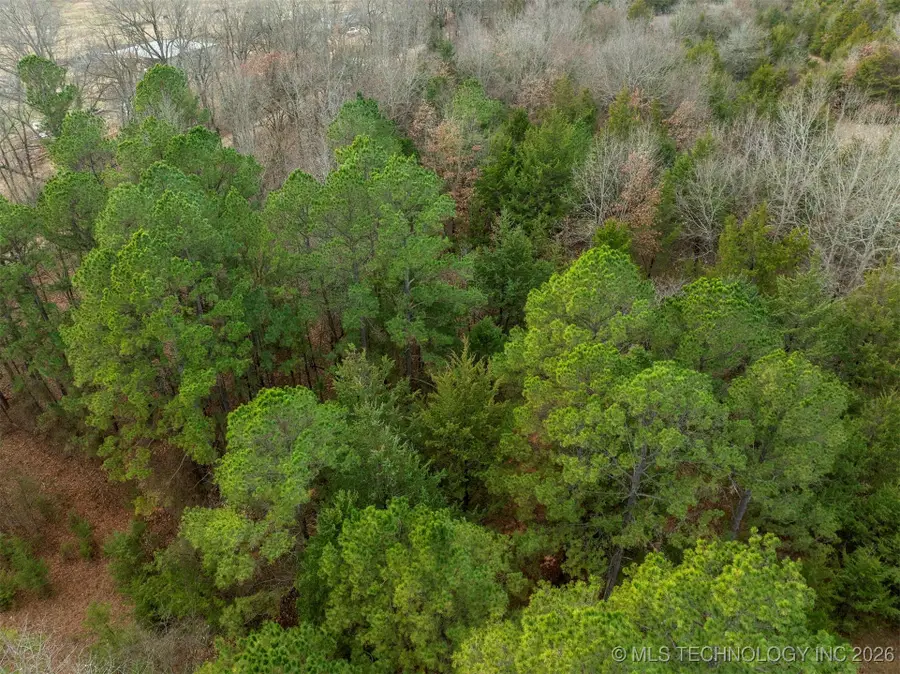 40 E 2010 Road, Hugo, OK 74743 - #3