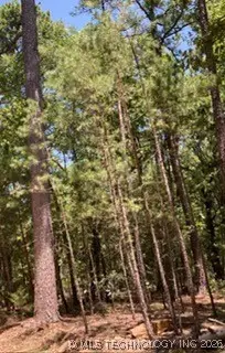 Whispering Pines, Antlers, OK 74523 - #1