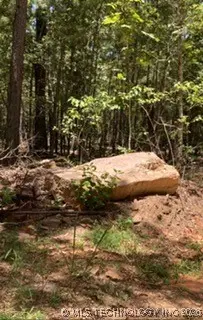 Whispering Pines, Antlers, OK 74523 - #2