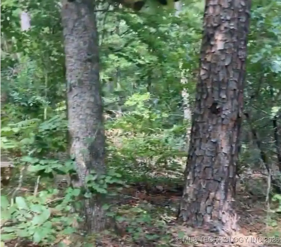 Whispering Pines, Antlers, OK 74523 - #3