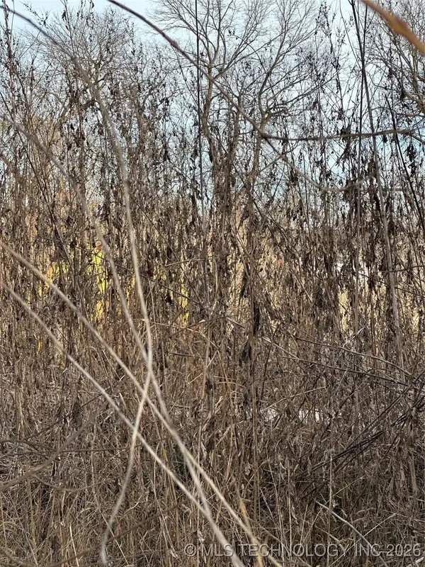 0 Us Hwy 77, Davis, OK 73030