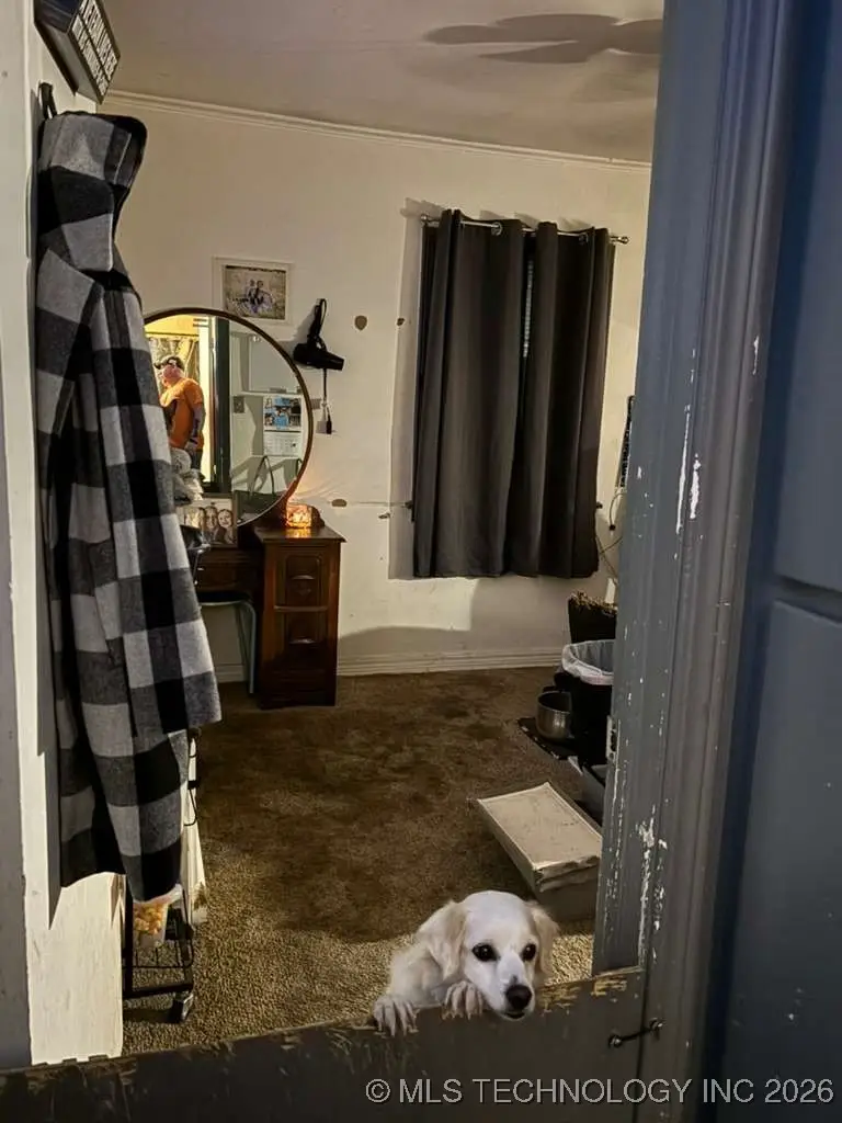 4208 NE Michigan Street, Bartlesville, OK 74006 - Image #3