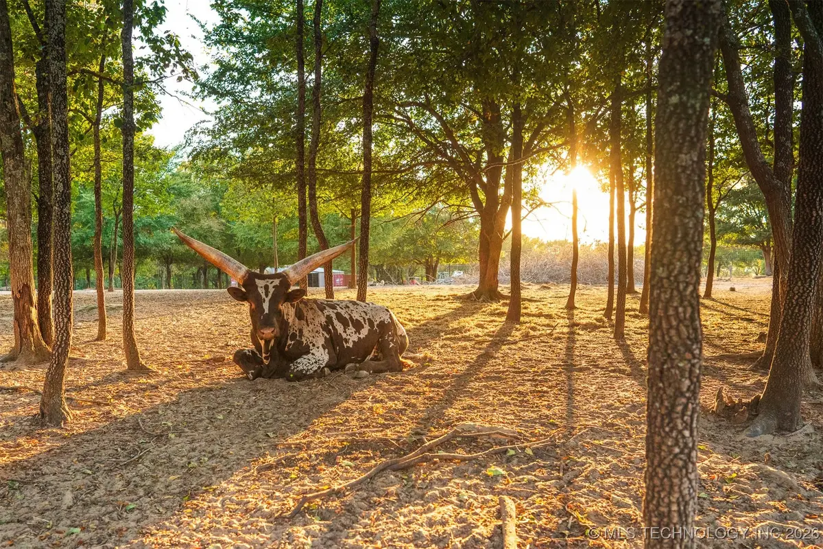 106082 N 3810 Street, Okemah, OK 74859 - #1