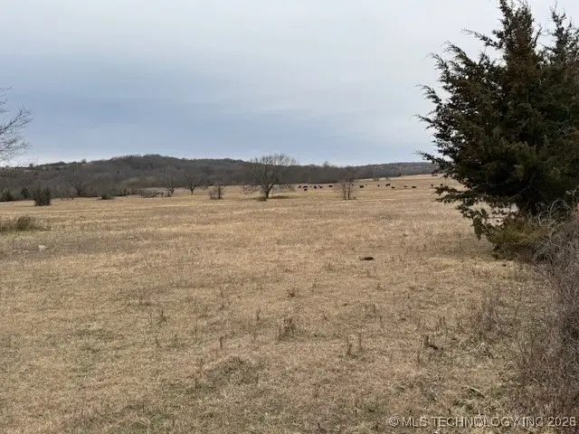 0000 County Road 1690, Stonewall, OK 74871 - Image #3