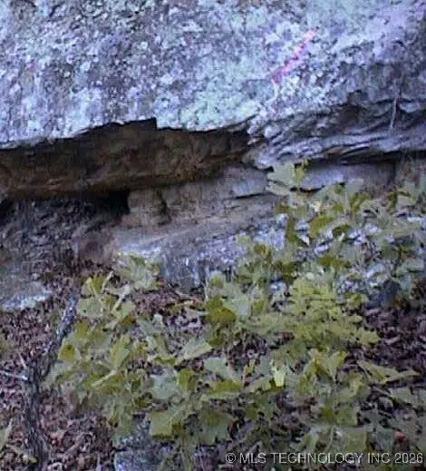 4055 Road, Checotah, OK 74426 - #3