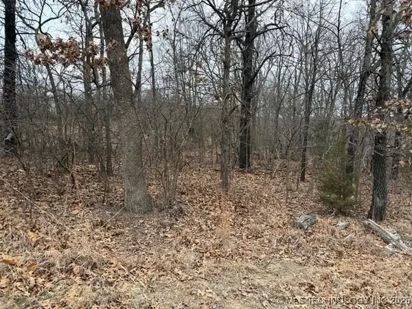 S Maple Drive, Kellyville, OK 74039