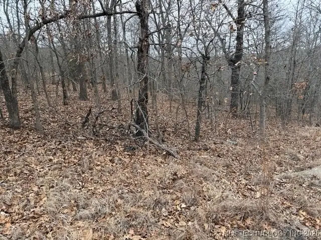 S Maple Drive, Kellyville, OK 74039 - Image #2