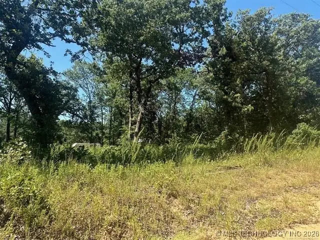 1 Driftwood Road, Kingston, OK 73439 - #2