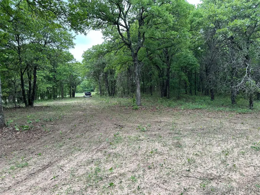 State Highway 76, Wilson, OK 73463 - Image #2