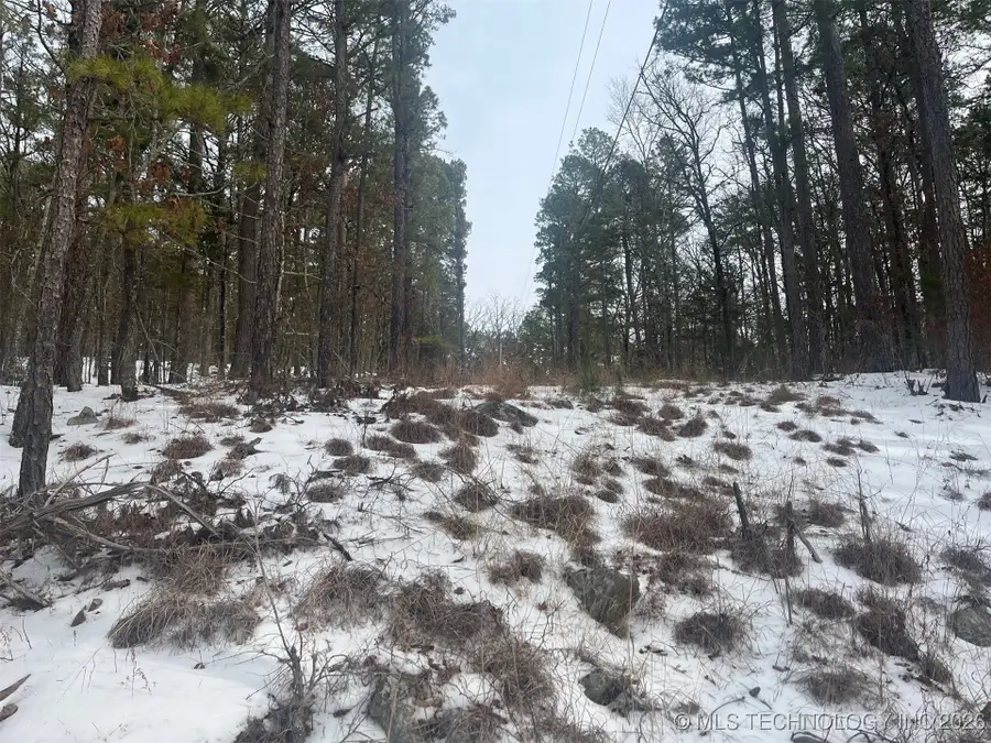 34 Tram Trail, Moyers, OK 74557 - #2