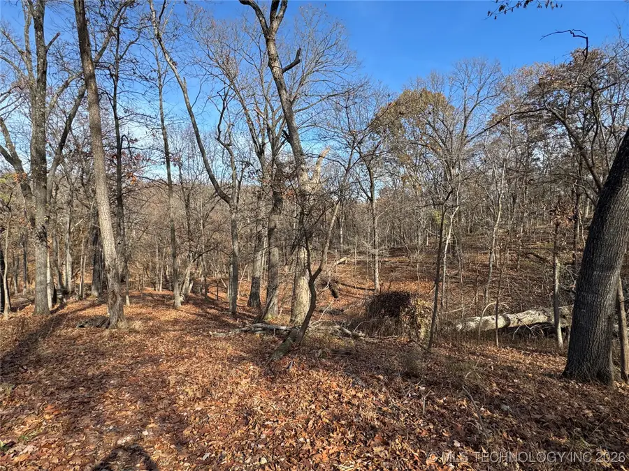 451403 Pheasant Circle, Afton, OK 74331 - Image #2