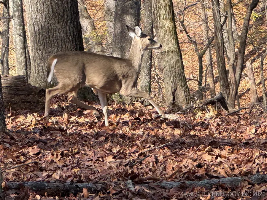 451403 Pheasant Circle, Afton, OK 74331 - Image #3