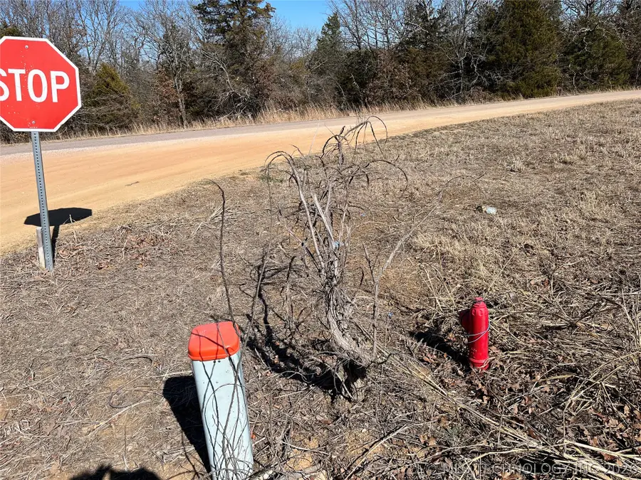 9226 County Road 3647, Allen, OK 74825 - #2