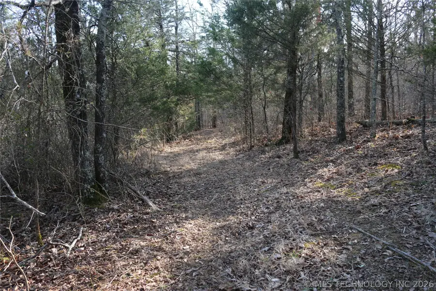 Kirk Mountain, Stilwell, OK 74960 - #2