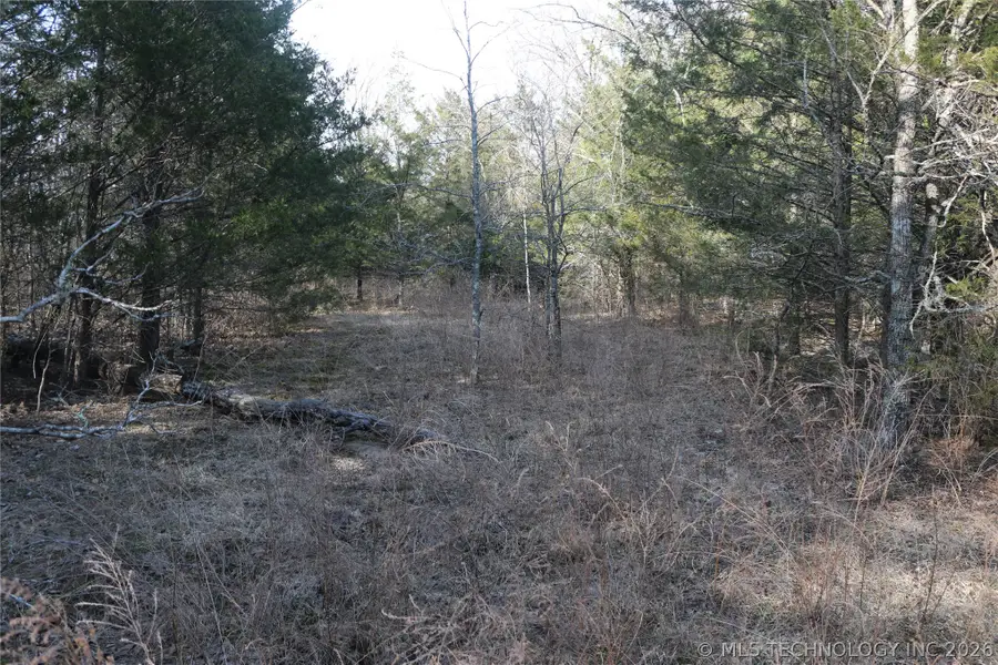 Kirk Mountain, Stilwell, OK 74960 - #3