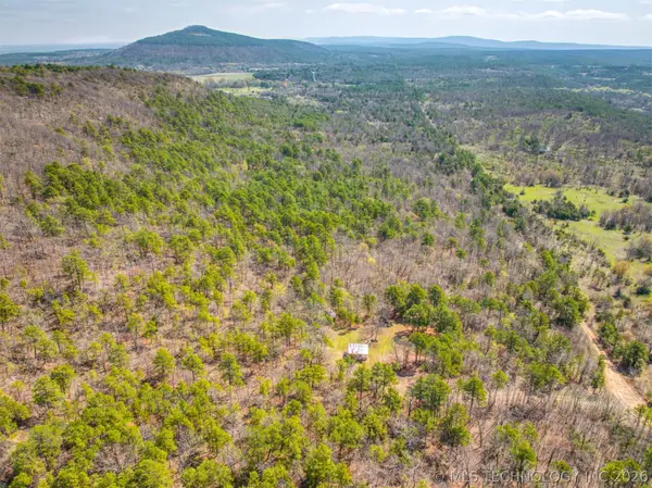 31541 W County Road 1350, Kinta, OK 74552