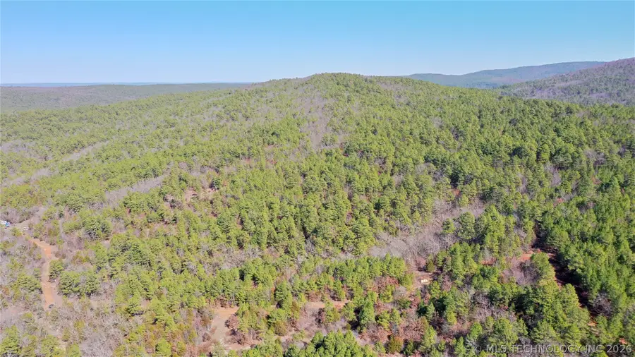 County Road 1342, Red Oak, OK 74563 - #3