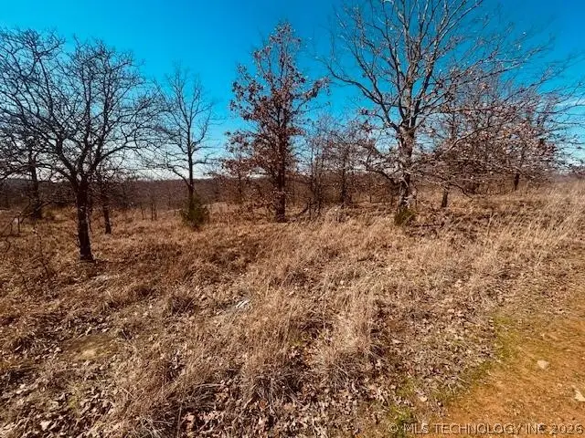 000 Serenity Road, Checotah, OK 74455 - #2