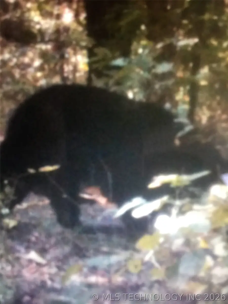 1 S 4582 Road, Marble City, OK 74945 - #3