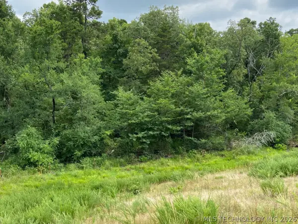 W State Hwy 3, Ringold, OK 74754