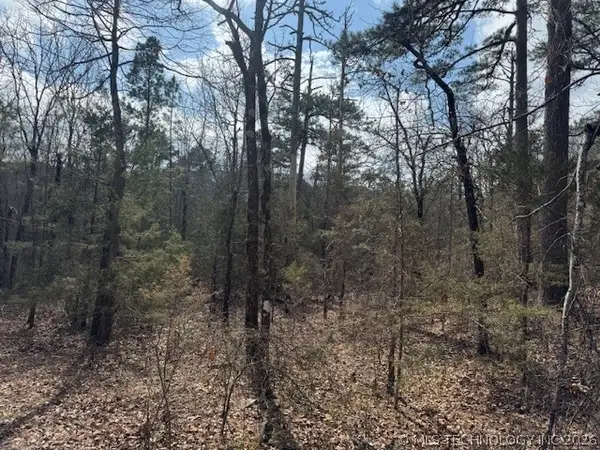 Turkey Creek Road, Red Oak, OK 74563