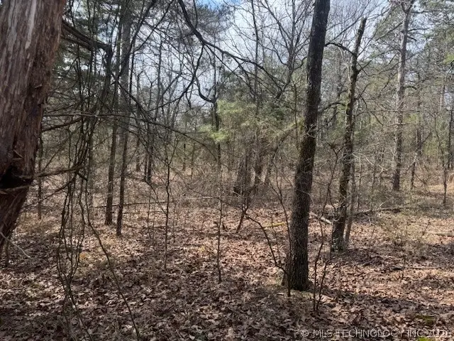 Turkey Creek Road, Red Oak, OK 74563 - #3