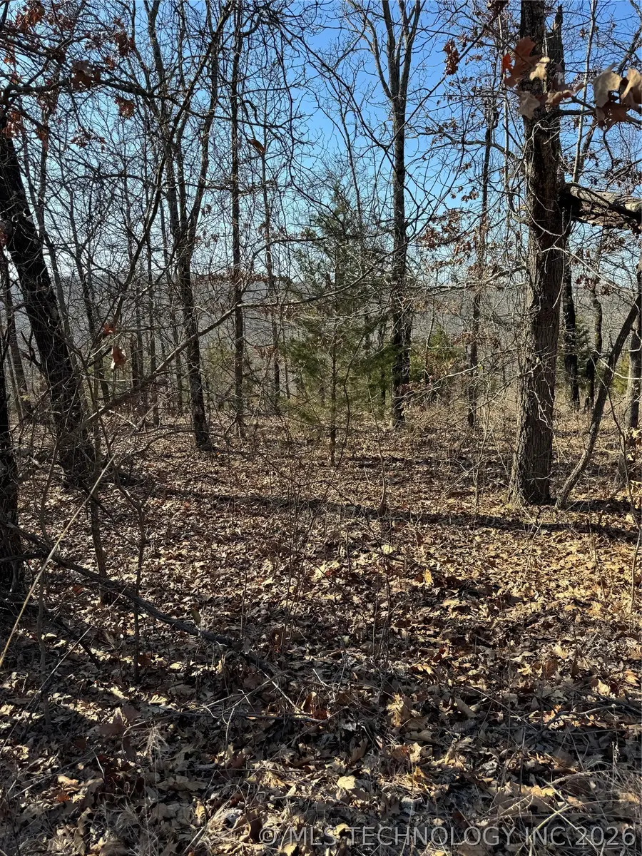 001 S 4556 Road, Vian, OK 74962 - #2