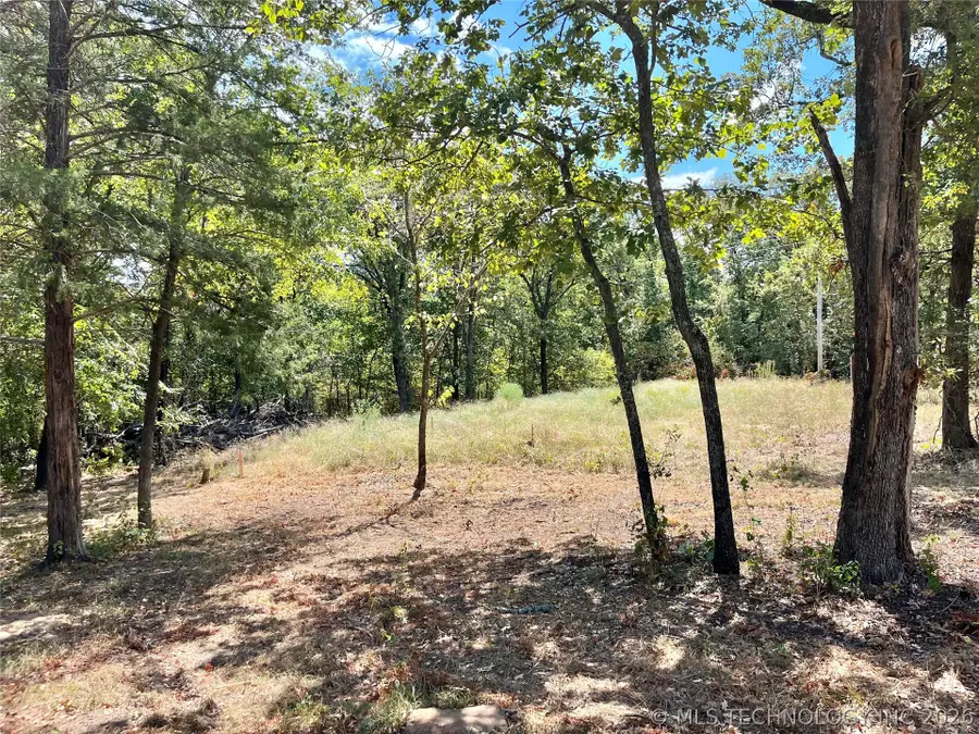Texoma Park Road, Kingston, OK 73439 - #3