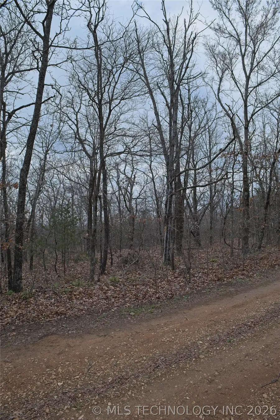 S 4547 Drive, Vian, OK 74962 - #3