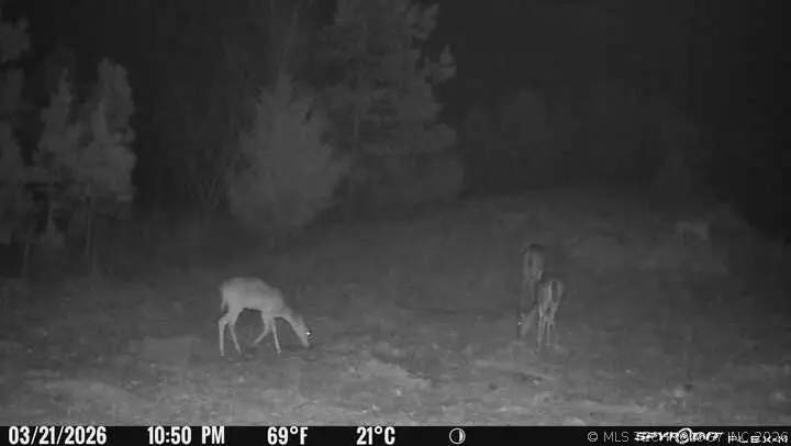 793 NW 187th Road, Wilburton, OK 74578 - #3